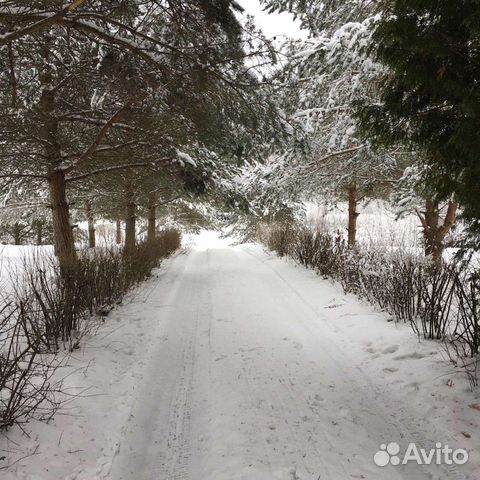 Снять квартиру, дом в Малая Вишера (Новгородская область)