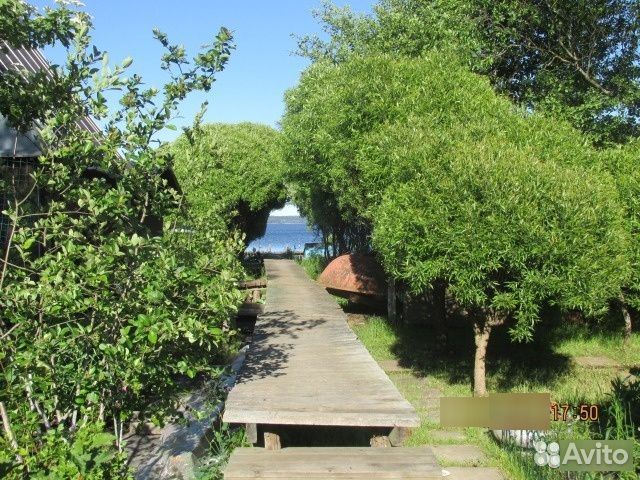 Снять квартиру, дом в Саперное (Ленинградская область)