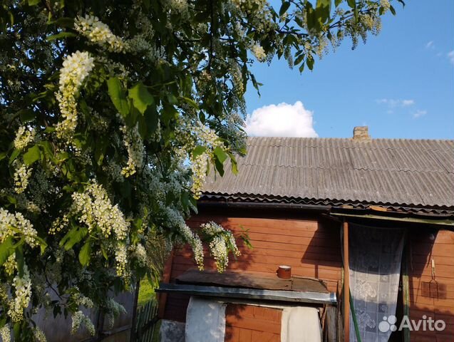 Снять квартиру, дом в Воробьевка (Воронежская область)