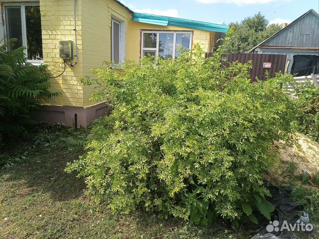 Снять квартиру, дом в Бехтеевка (Белгородская область)